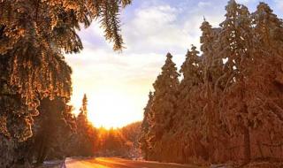 仙女山旅游攻略 仙女山旅游攻略