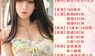 女性机器人价格多少 女性机器人价格多少