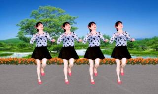 中老年迪斯科健身舞