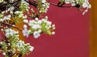 我的春风何时来 我的春风何时来