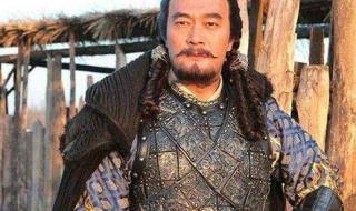 杨家将传奇 杨家将传奇