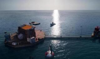 深海狂鲨好看吗