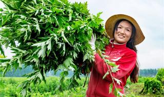 湖北省黄冈市蕲春县