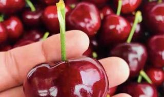 榴莲大降价30元一斤