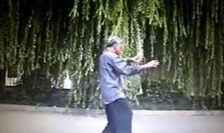 陈式太极拳小架一路 陈式太极拳小架一路